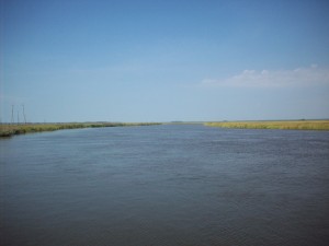 Blackwater at Shorters Wharf