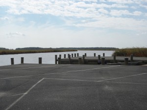 Bestpitch is the launching point for the Fishing Bay Wildlife Management Area's Transquaking River Loop Trail.