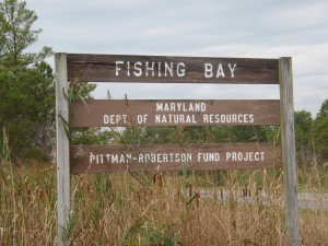 Bestpitch is part of the Fishing Bay Wildlife Management Area.