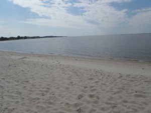 Despite its location close to the mouth of the Nanticoke River, the water is calm and shallow. - perfect for swimming and enjoying the water!
