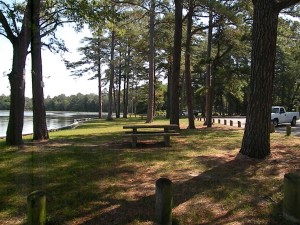Picnic tables are placed along the bank