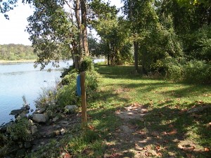 Bank of the Broad Creek
