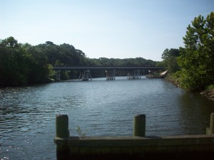 The Federalsburg Marina is near the MD Rt-313/318 bridge over the Marshyhope Creek.