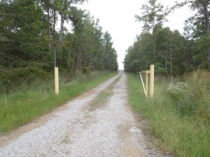 Langrells Creek is also part of the Fishing Bay Wildlife Management Area.