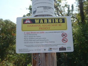Harmful Algae Sign