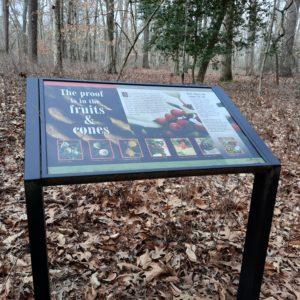 Tree identification sign